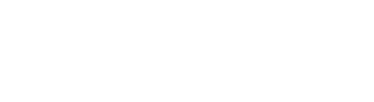 DASH Logistics Solutions